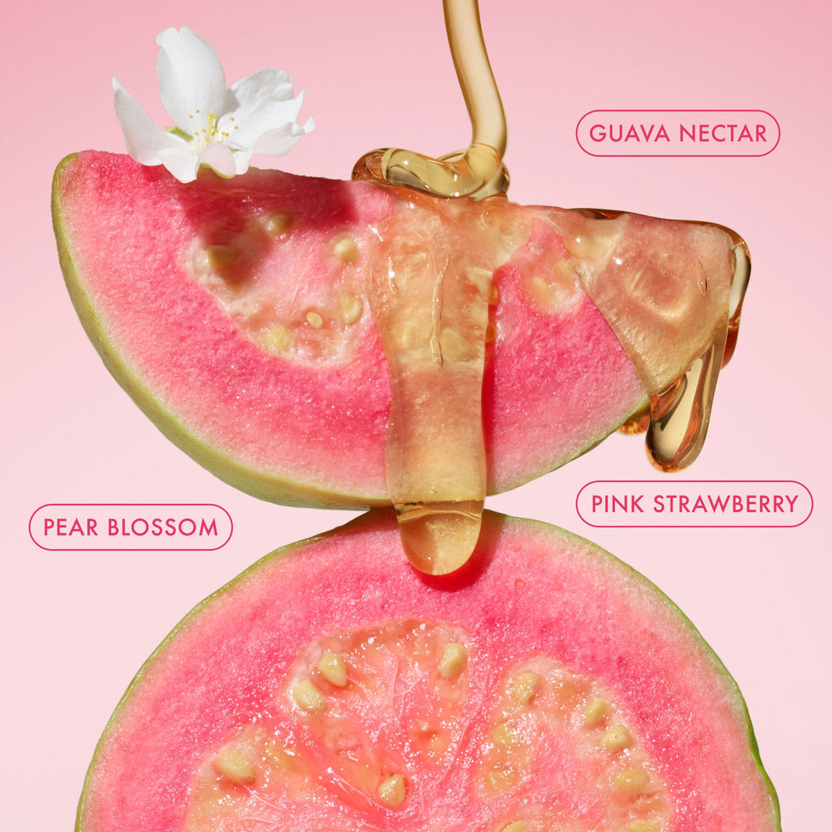mini-body-butter-trio-a7 BodyButterBalmPinkGuava_3.jpg
