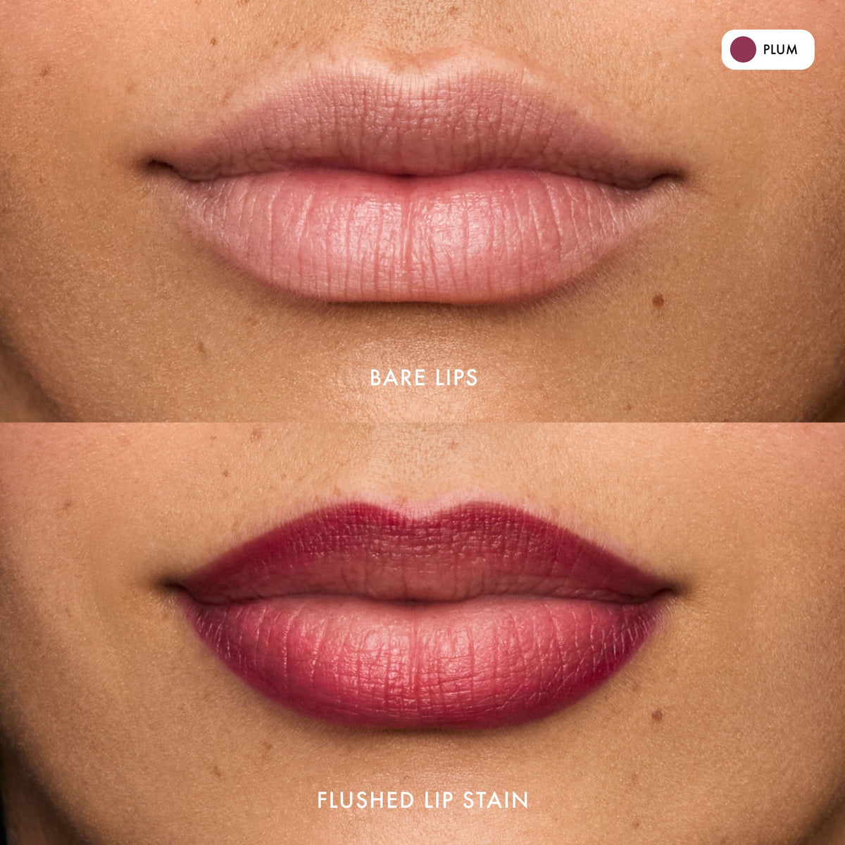 flushed-lip-stain-plum-z0 FlushedLipStain_Plum_B_A.jpg