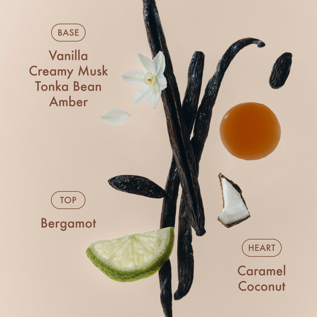 sunlit-vanillatm-eau-de-parfum-h6 SunlitVanilla_4.jpg